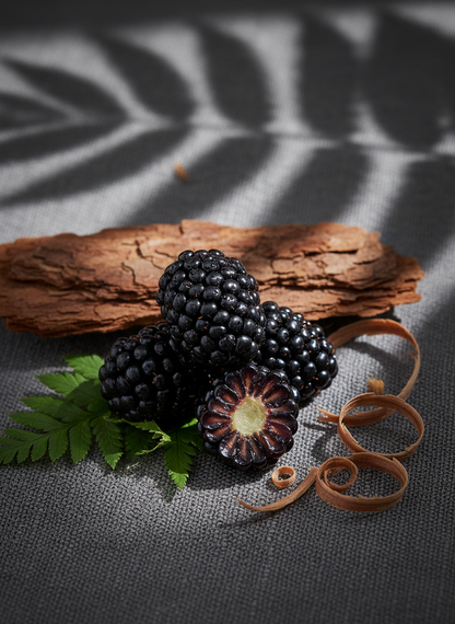 Blackberries with a piece of wood and leaves on a textured surface