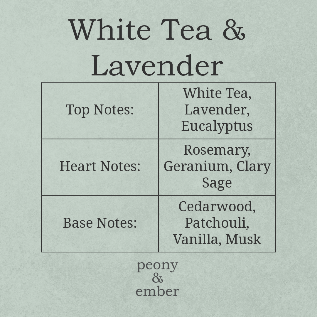 Chart detailing the top, heart, and base notes of a White Tea & Lavender fragrance by peony & ember on a light gray background.