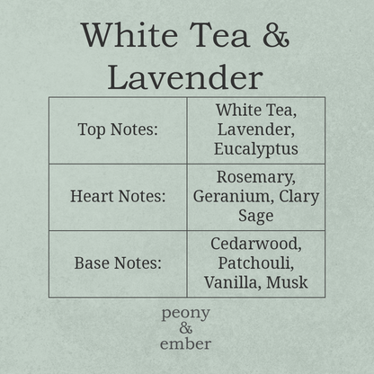 Chart detailing the top, heart, and base notes of a White Tea & Lavender fragrance by peony & ember on a light gray background.